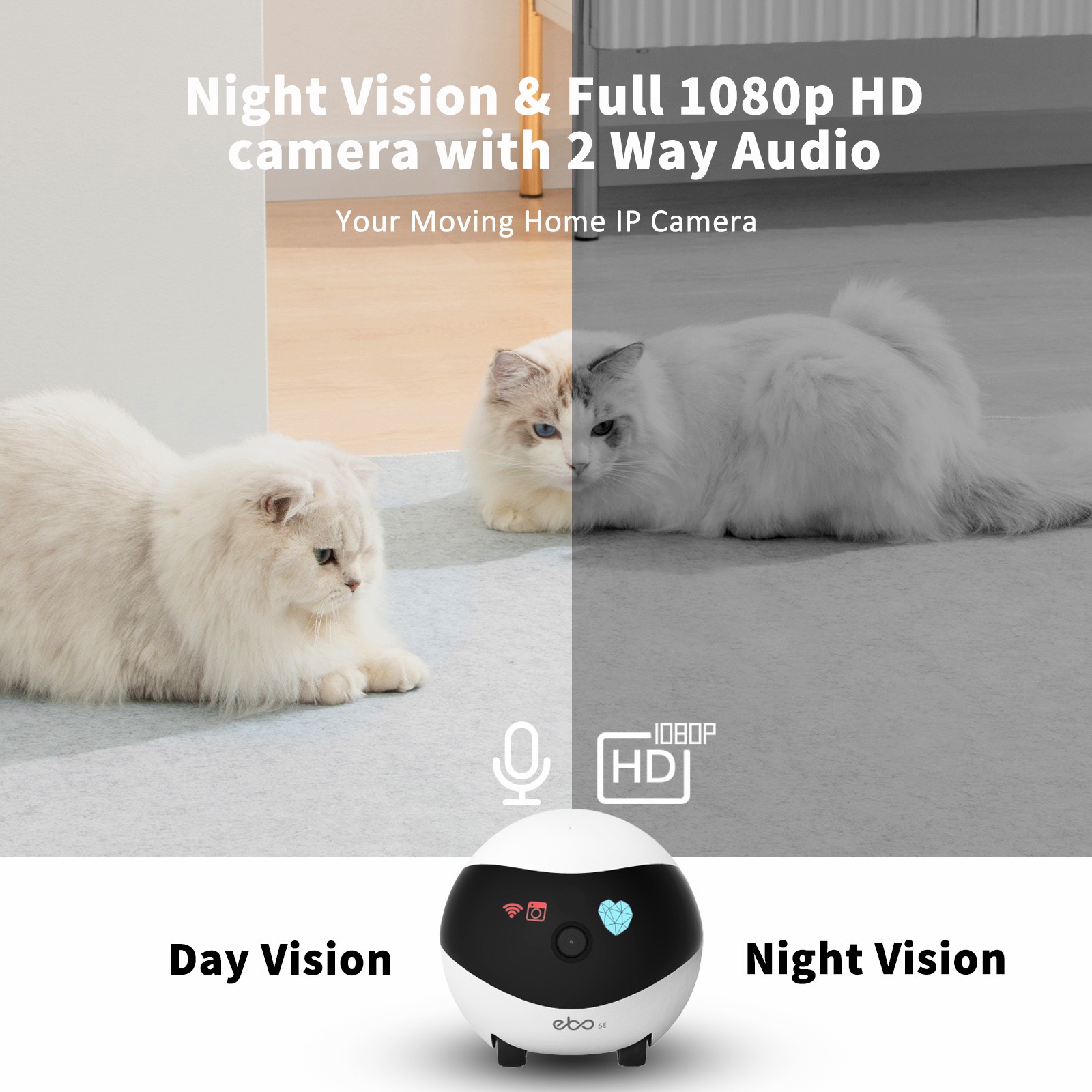 EBO SE Smart Home Robot Compan - đánh giá và giá Home Security Robot