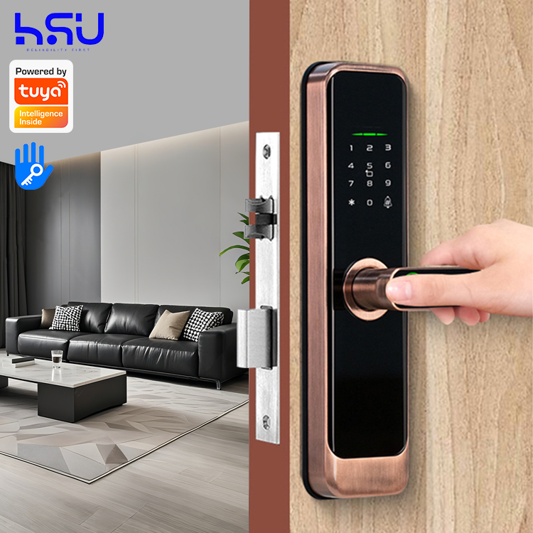 Digital Smart Doorlock Passcod - đánh giá và giá Home Security Doors